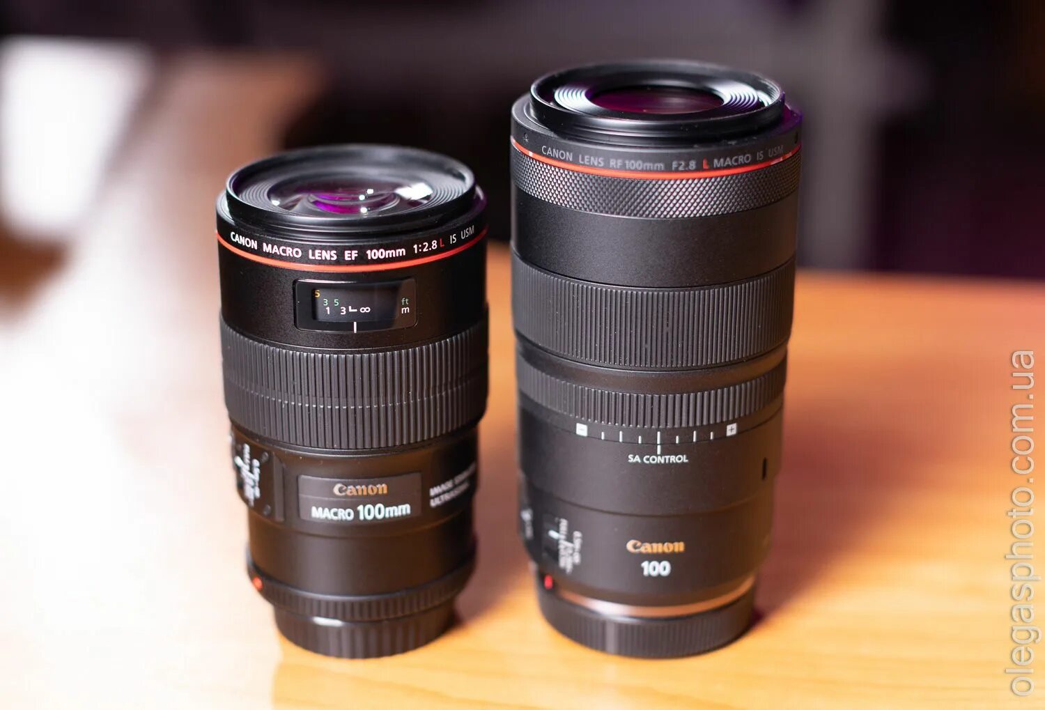 8 macro. Canon 100 mm f2. 8 macro usm. Canon 100 2. Canon 100 mm f2.