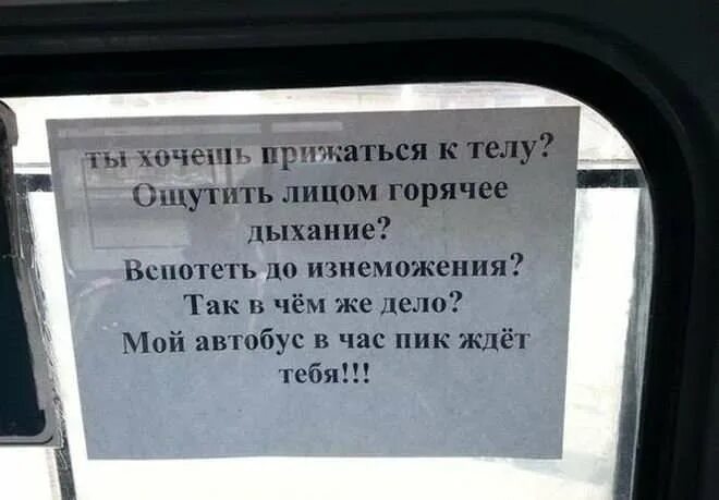 Ждать следующего автобуса. Смешные надписи на автобусах. Прикольные объявления в маршрутках. Прикольные надписи в общественном транспорте. Надписи в маршрутках прикольные.