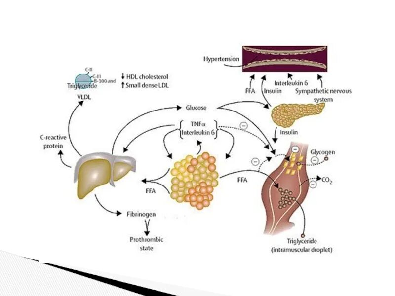 Hdl cholesterol. Продукты для hdl-холестерина. vldl холестерин что это. альфа холестерин.