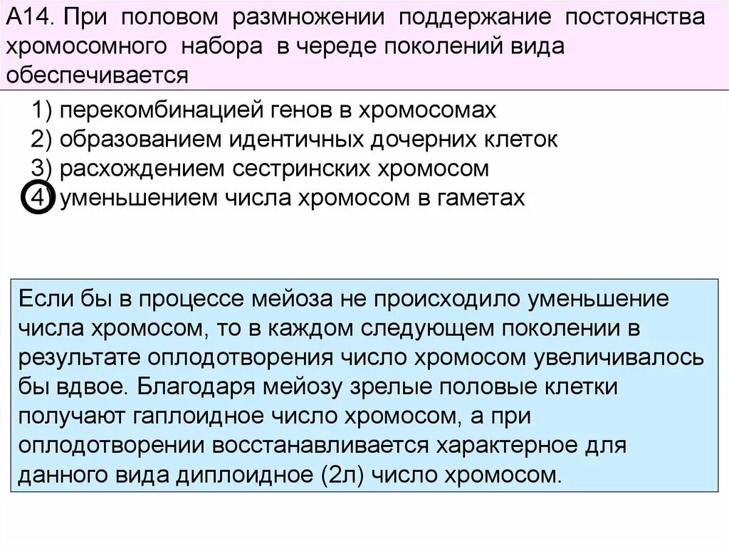 При половом размножении. Поддержание постоянного числа хромосом при размножении. Число хромосом при половом размножении в каждом поколении. Сохранение постоянства числа хромосом при половом процессе. Перекомбинация генов в мейозе