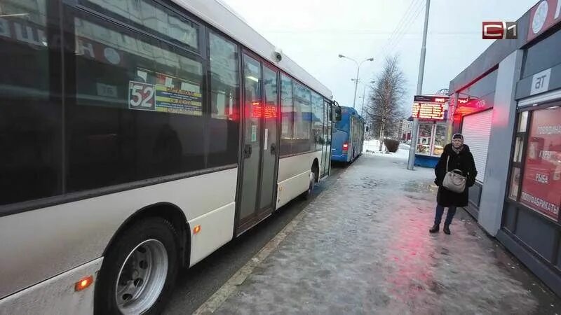 Общественный транспорт сургут новости. Новый вид общественного транспорта в Сургуте. Автобусы Сургут. Новые автобусы в Сургуте. Транспорт Нефтеюганска.