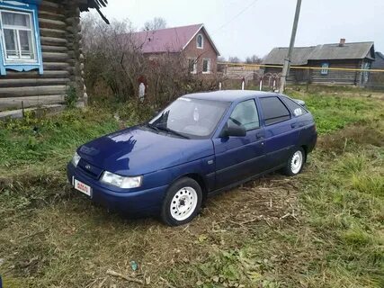 Авито в высокой горе