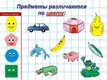 Общее свойство предметов это