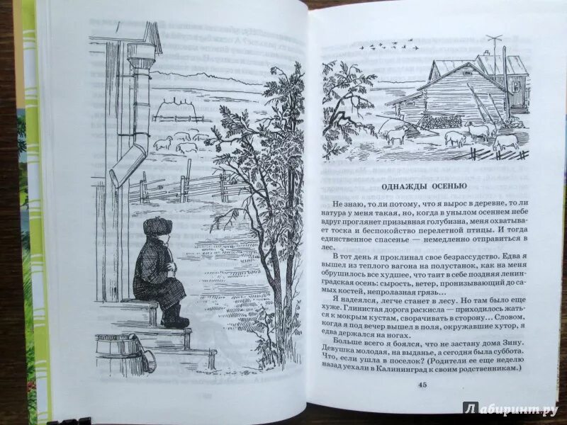 Из рассказов олены даниловны. Иллюстрация к рассказам Абрамова. Иллюстрации к книгам Абрамова. Рисунки по произведениям Федора Абрамова.