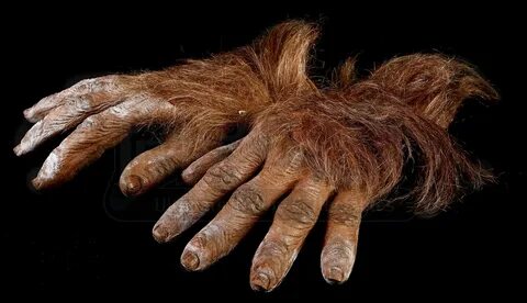 Head hands feet