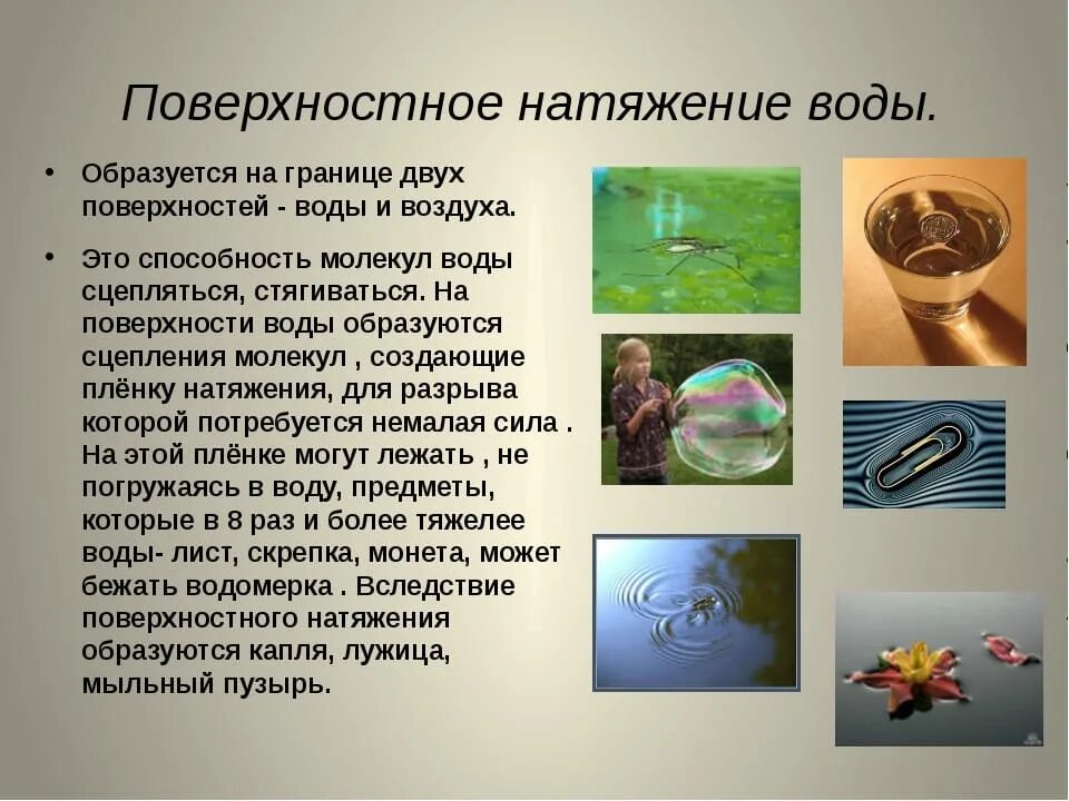 Поверхностное натяжение воды. Поверхностное натяжение жидкости. Поверхностноетратяженик. Поверхностное напряжение воды.