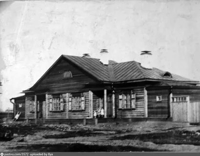 История сокол