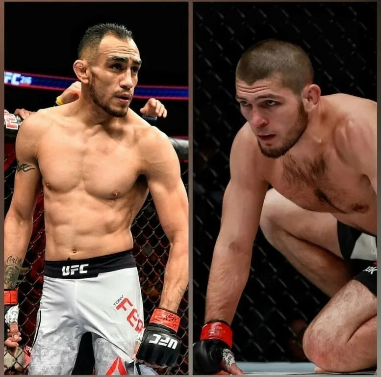 эмеев зурканай. картина васнецова поединок пересвета с челубеем на куликовом поле. боксер картинка. мальчики рестлеры. боец юфс дастин порье.