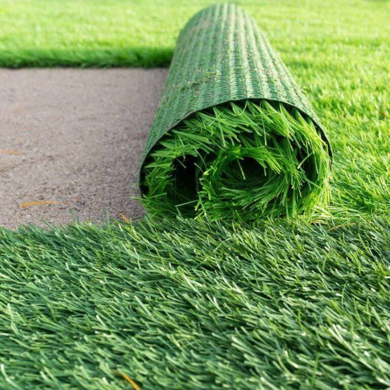 Робустика газонная трава. Рулонный газон мятлик. Газон недорого. Газон натуральный в рулоне. Газон леруа мерлен.