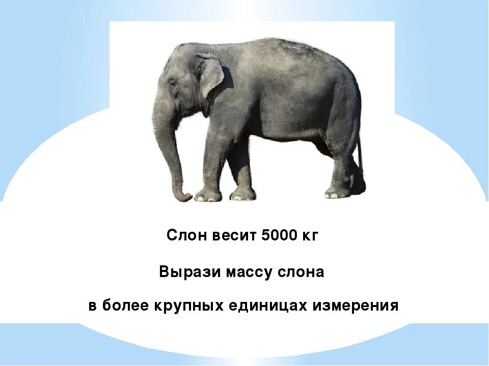 Сожаления весят тонны. Боль дисциплины и боль сожаления. Сожаления весят тонны. Единицы массы тонна центнер. Средний вес облака.