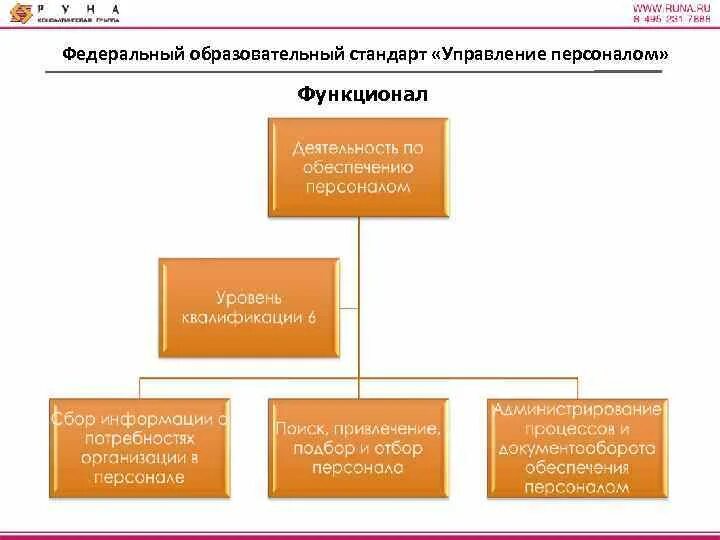 Стандарт управления предприятием. Стандарты управления персоналом. функционал сотрудника. управляющая компания стандарт. функционал сотрудников с фото.