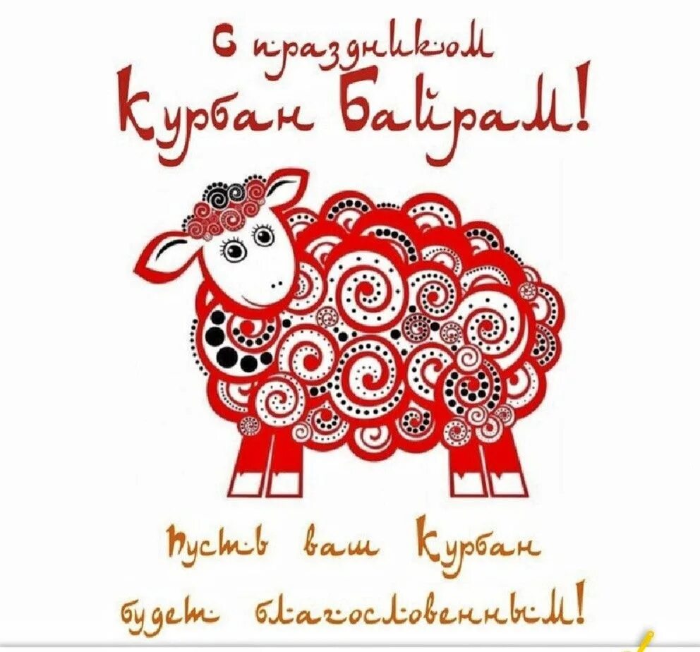 Куран баран. Жертвоприношение барана. Куран баран. Куран баран. Куран баран.