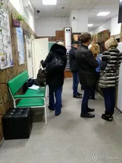 Регистратура ветеринарной клиники