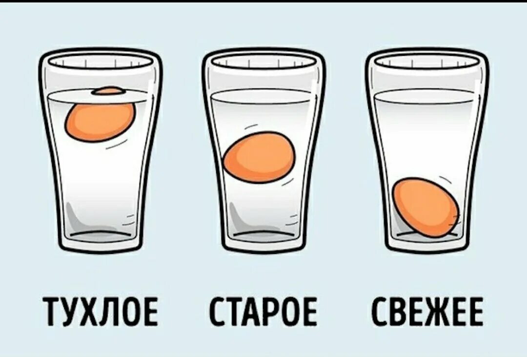 Почему при варке всплыло куриное яйцо. Яйцо всплывает в воде. почему яйцо всплывает. тухлое яйцо в воде. если сырое яйцо всплывает.