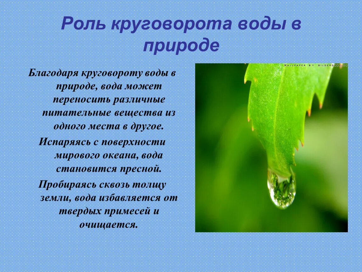 Какое значение круговорота воды. Роль круговорота воды в природе. Важность круговорота воды в природе. Важность воды в природе. Функции круговорота воды в природе.