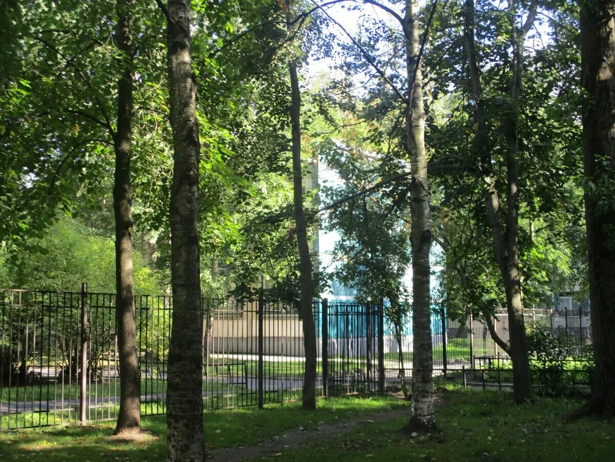 Сайт школы 65 спб выборгский район. Школа 65 выборгского района учителя. Художественная школа анастасии корниловой санкт-петербург. Школа 112 выборгского района. 65 гимназия санкт-петербург.