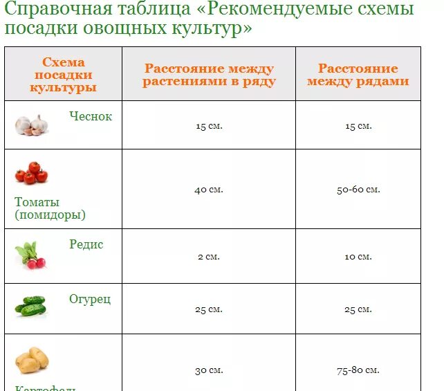 Схема посадки свеклы. Схема посадки овощей в открытый грунт. кабачки схема посадки. кабачки схема посадки в открытый грунт рассады. схема посадки овощей с расстоянием.