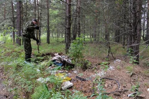 Мероприятие по лесу