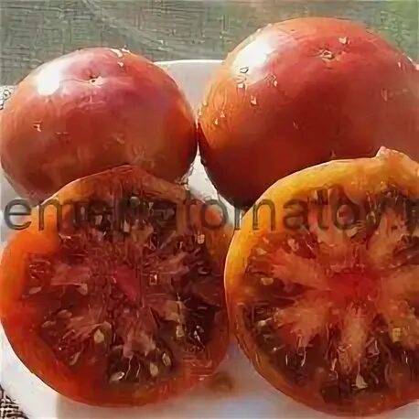 Томат мгла винса. Томат гном маралинга. Ультраскороспелый томат сибирский. Томат гном мгла винса. Томат гном металлика.