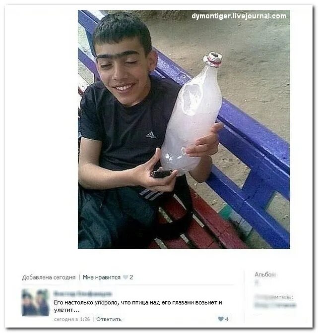Добавлена сегодня