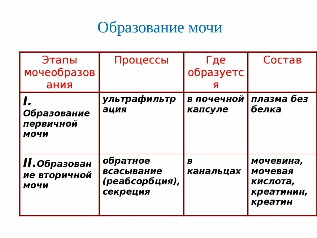 Изобразите схематично этапы образования мочи. Этапы образования мочи схема. Процесс образования мочи. Фазы образования мочи. Этапы образования мочи таблица.