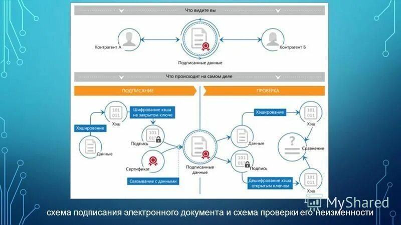 Использование цифровых подписей и сертификатов. Использование цифровых подписей и сертификатов
