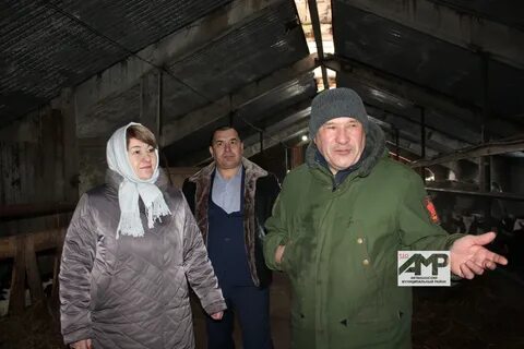 Татарские ямалы погода на 10