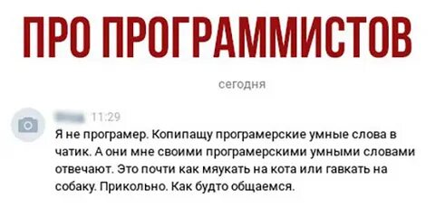 Игра слова программист