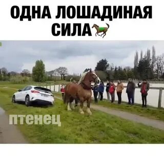 Почему лошадиные силы так называются