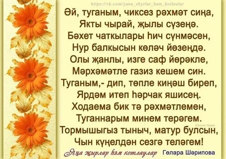 8 шин текст