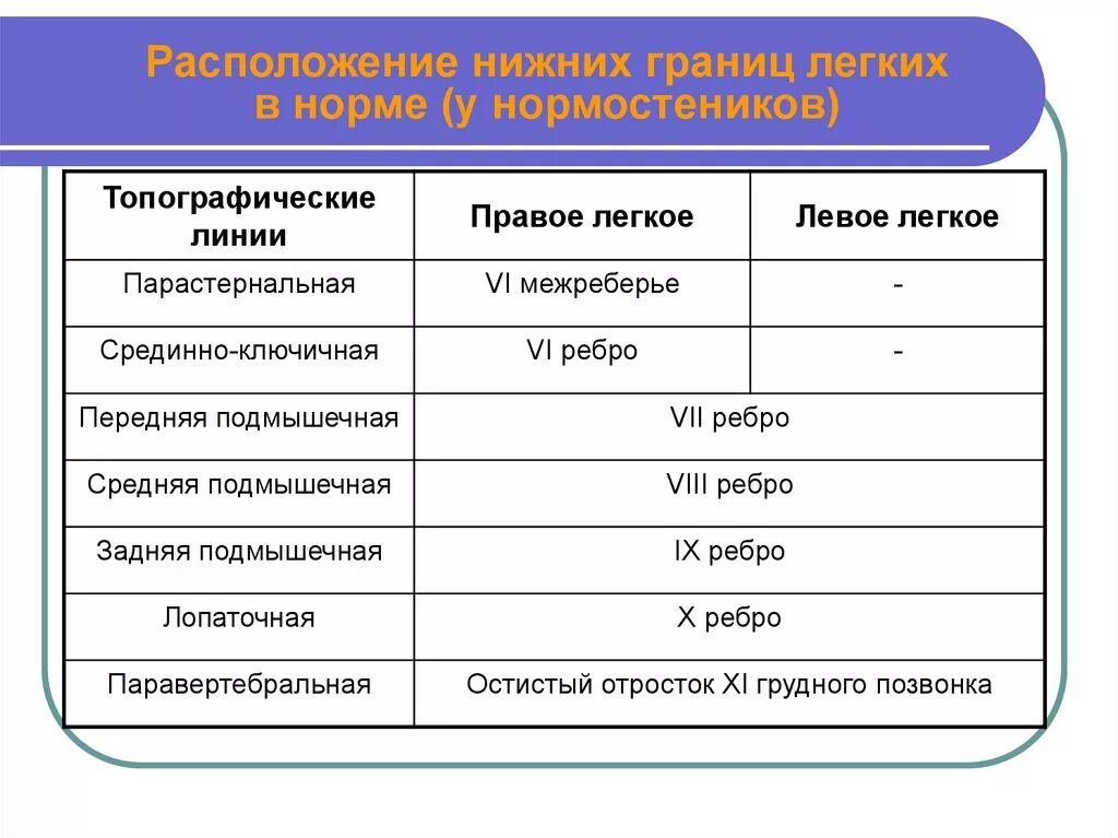 Нижние границы легких пропедевтика. Топографические границы легких в норме. Расположение нижних границ лёгких в норме. Нижние границы легких в норме. Нижняя граница левого легкого