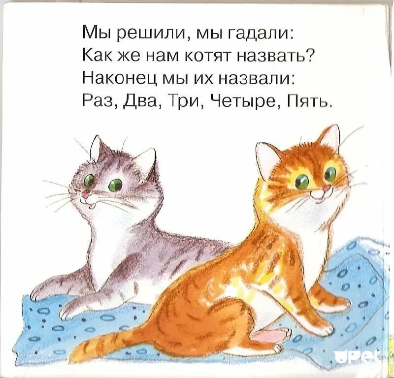 Стихотворение про котенка