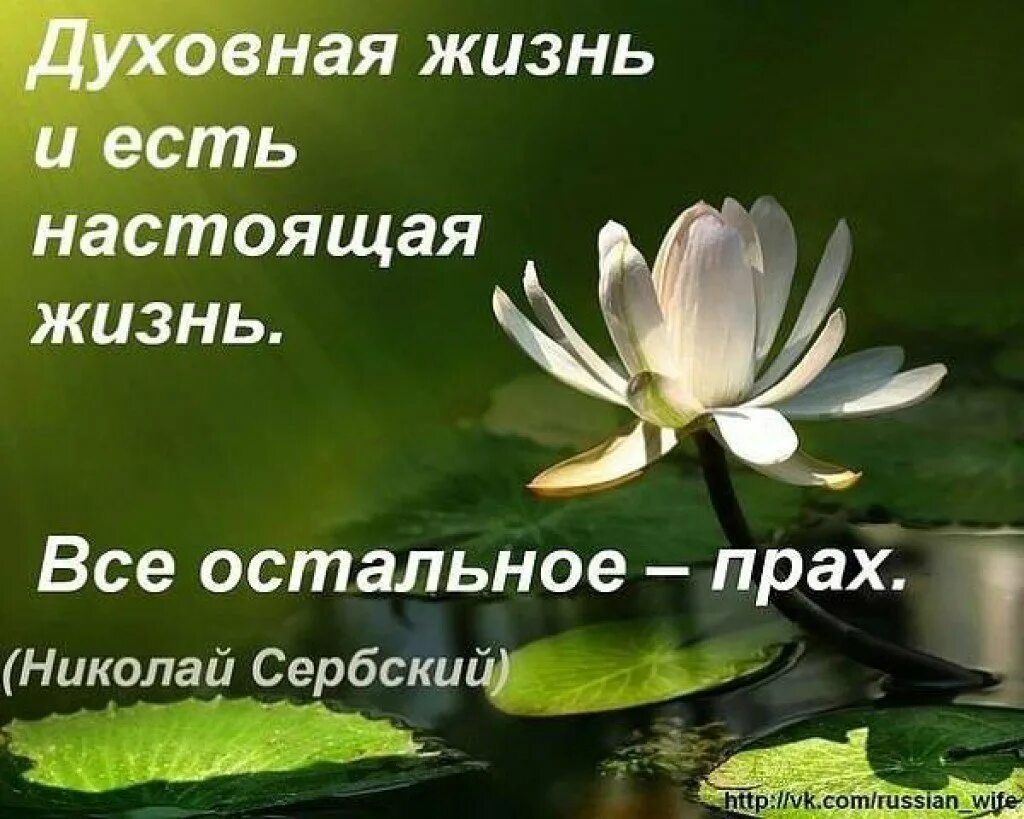 Духовные цитаты жизнь. Цитаты о духовности. цитаты о духовном. духовные высказывания в картинках. мудрые христианские высказывания о жизни.