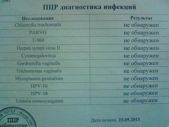 Иппп как сдавать