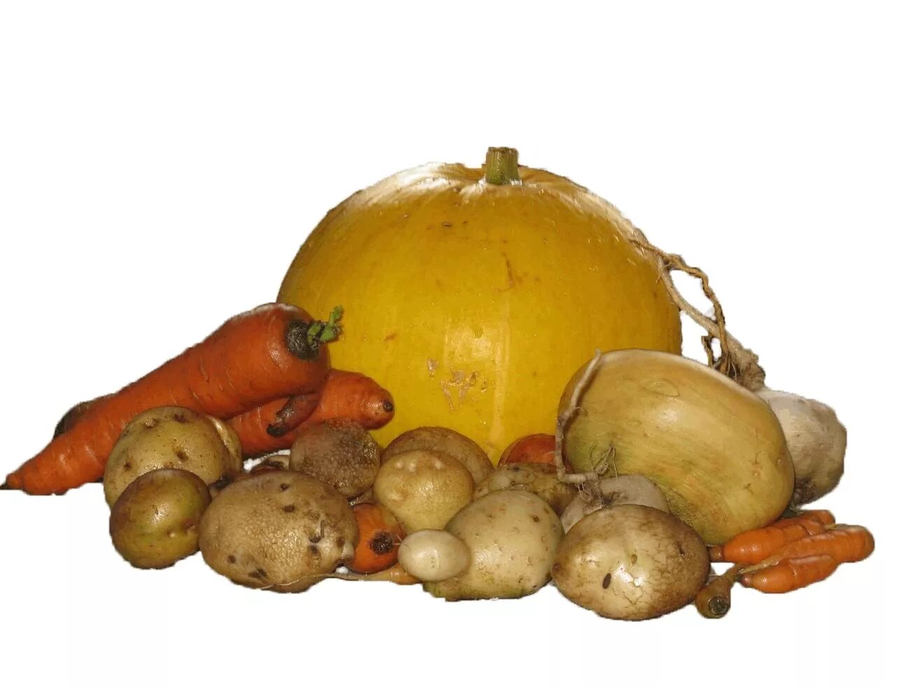 тыква морковь лук. тыква морковь. овощи. тыква морковь картофель. русские овощи.