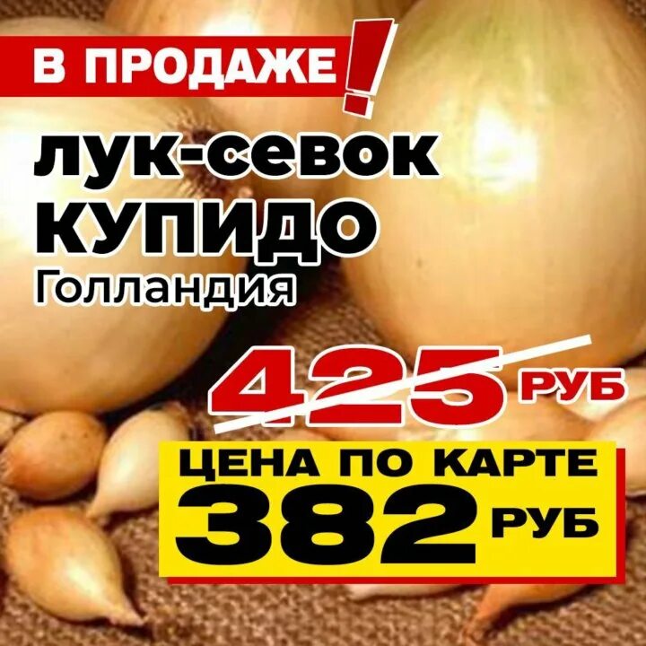 Лук-севок Купидо от садовой фирмы "Виктория" - YouTube