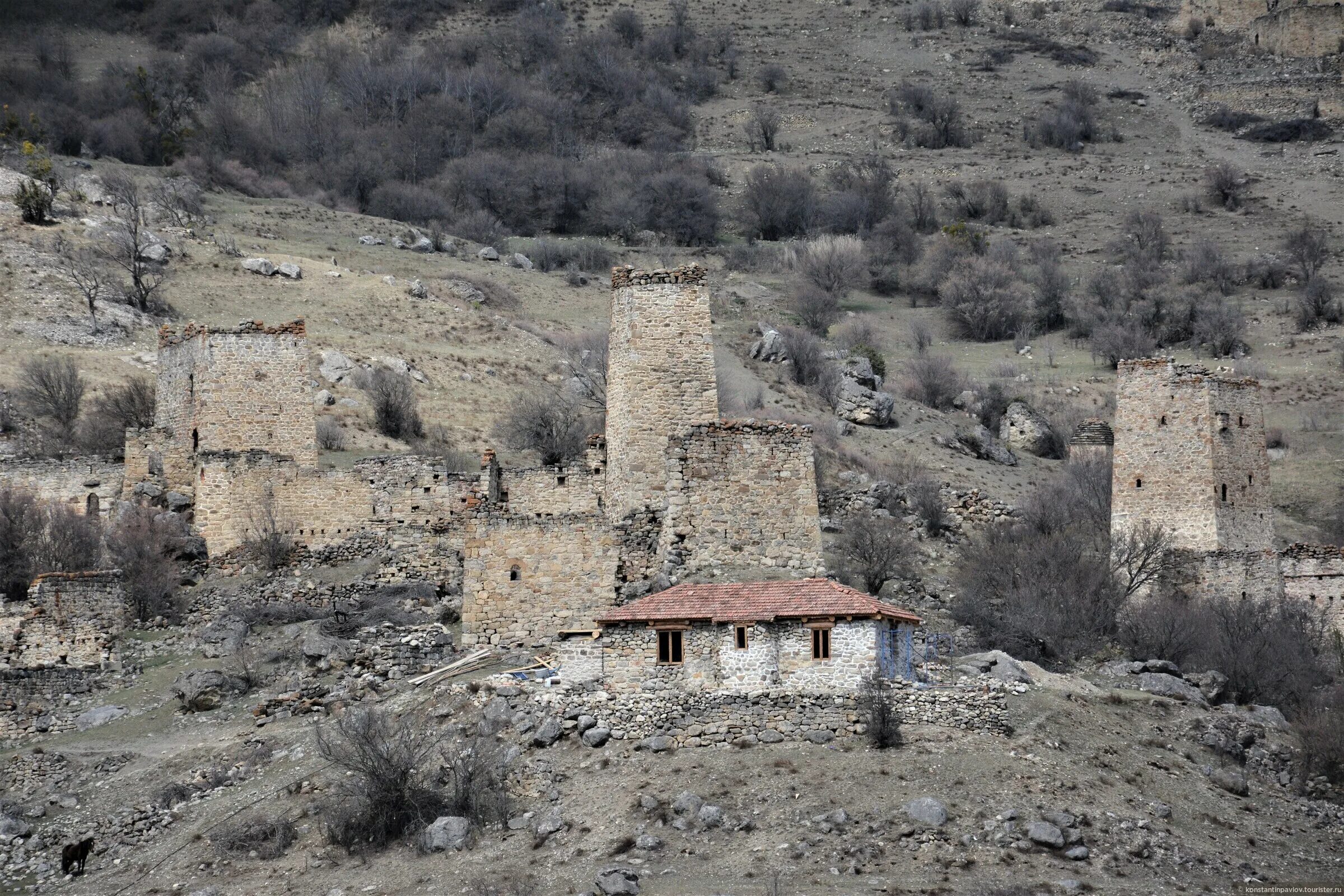 Родовые башни