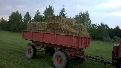 T телега
