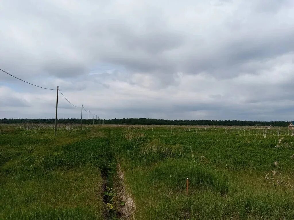 Деревня качка. Деревня Колодези Боровский район. Верхние Колодези Жуковский район Калужская область. СНТ слепушка Пермский край. Калужская обл., дер Маланьино.