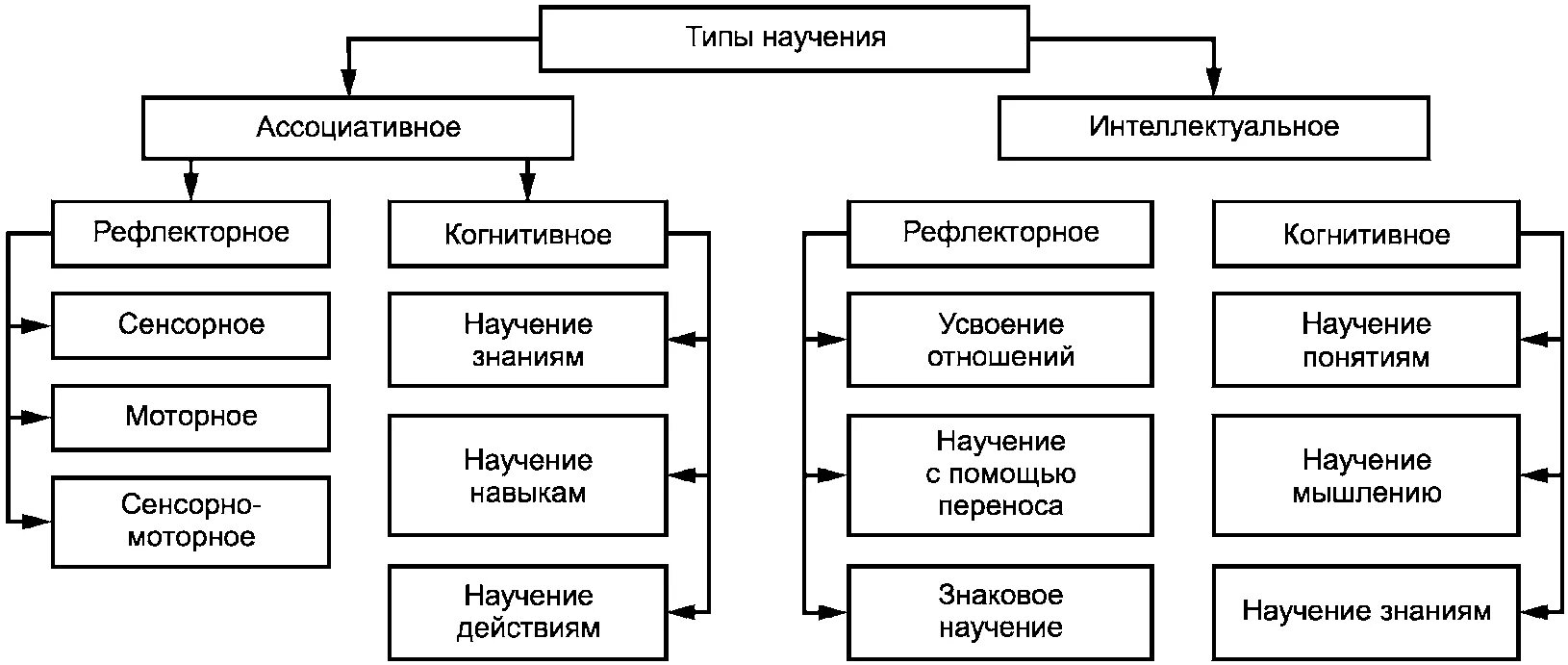 Механизмы научения. Типы научения. Интеллектуальное научение. Способы научения. Виды научения у человека.