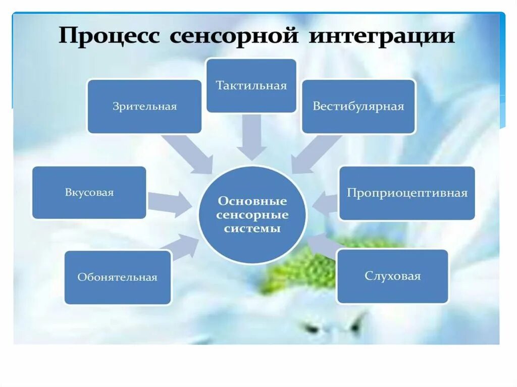 Сенсорная интеграция что это такое. Сенсорная интеграция что это такое