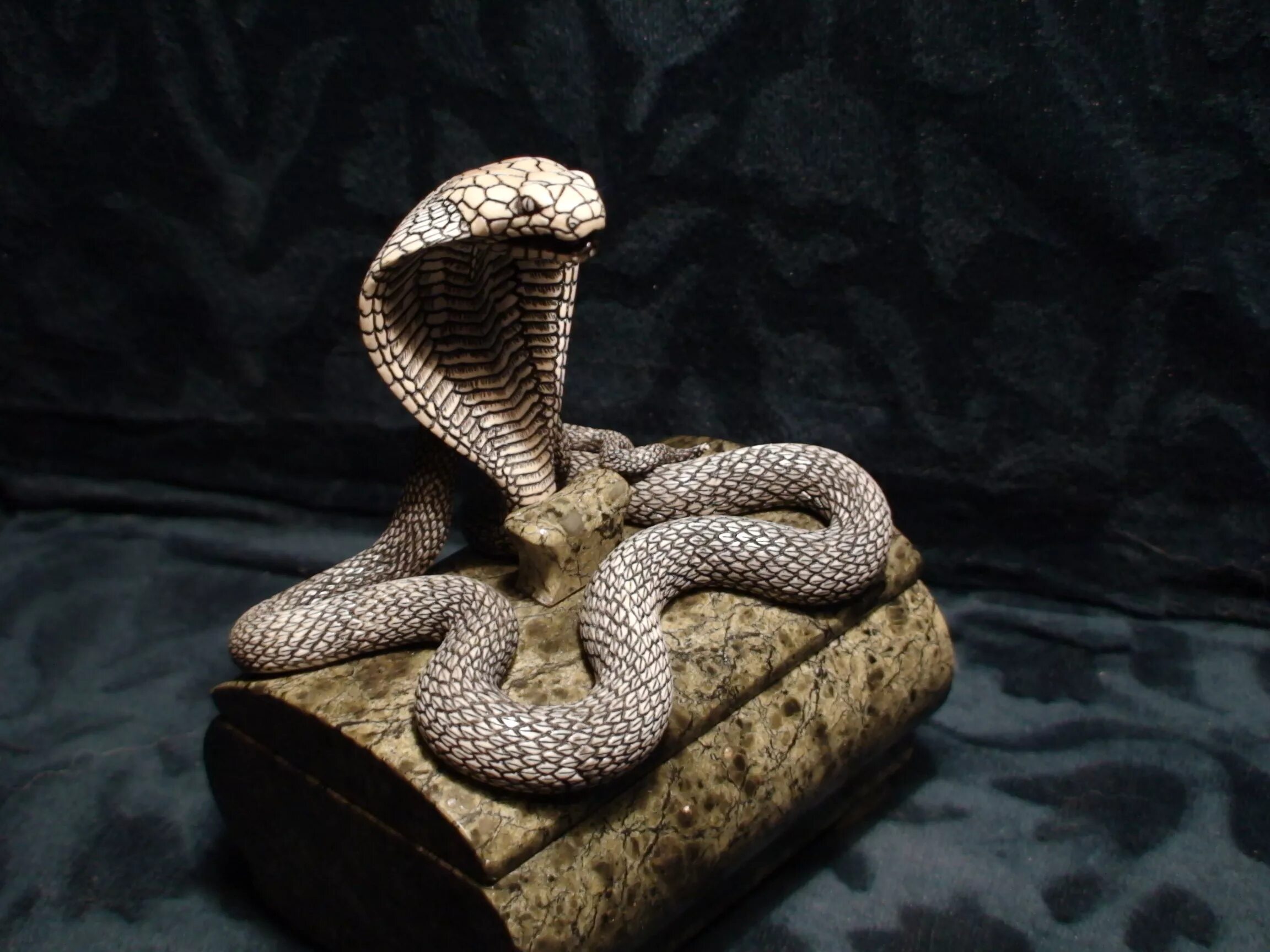 камень из головы кобры. резьба по дереву кобра. среднеазиатская гадюка. мордочка змеи. камень из головы кобры.