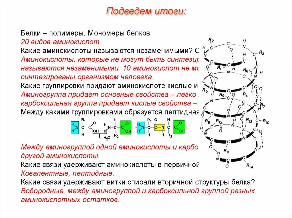 Состав мономеров белка. Строение мономера белковой структуры.. Белки строение мономера строение полимера. Строение 20 аминокислот белковых. Мономеры вторичной структуры белка.