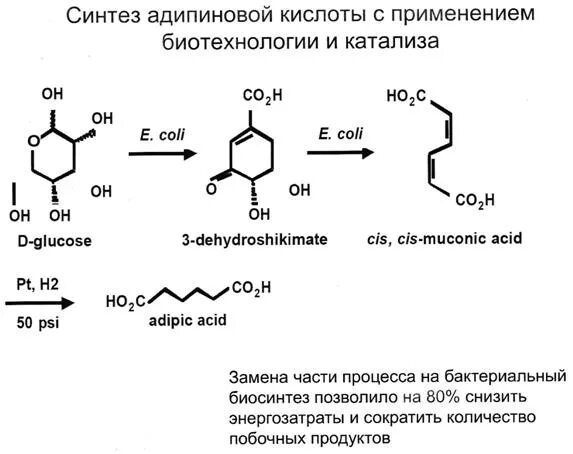 Синтез адипиновой кислоты из циклогексанола. Адипиновая кислота циклизация. Химическая схема адипиновой кислоты. Адипиновая кислота из фенола.