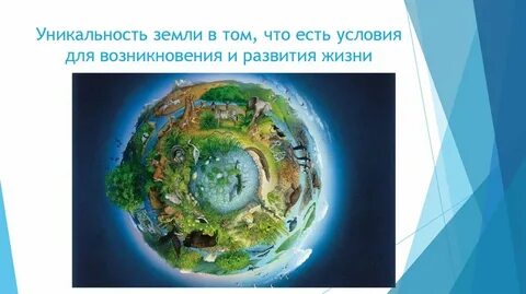 Биосфера жизнь на земле