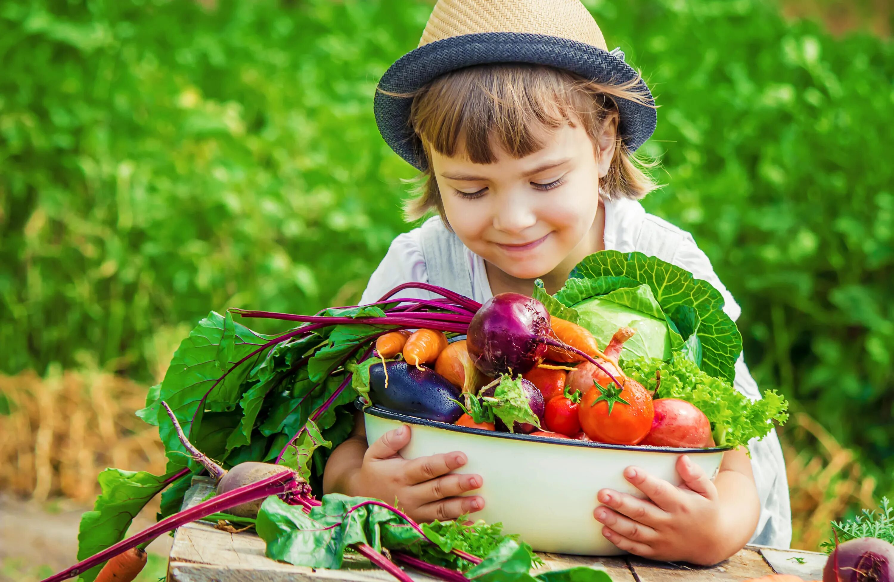 Vegetable family. Овощи на грядке. Сбор урожая. Фрукты для детей. Урожай для детей.