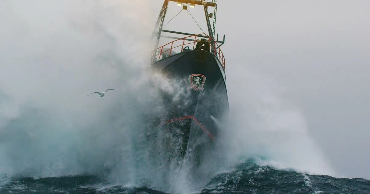 Дискавери смертельный улов 2019. "Deadliest catch" эпизод "Капитаны". Смертельный улов 16. Билл Вихровски смертельный улов. Смертельный улов лучшее