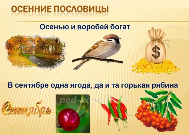 Пословица что осенью соберешь то. Осенью и воробей богат ребус. осенью и воробей богат.