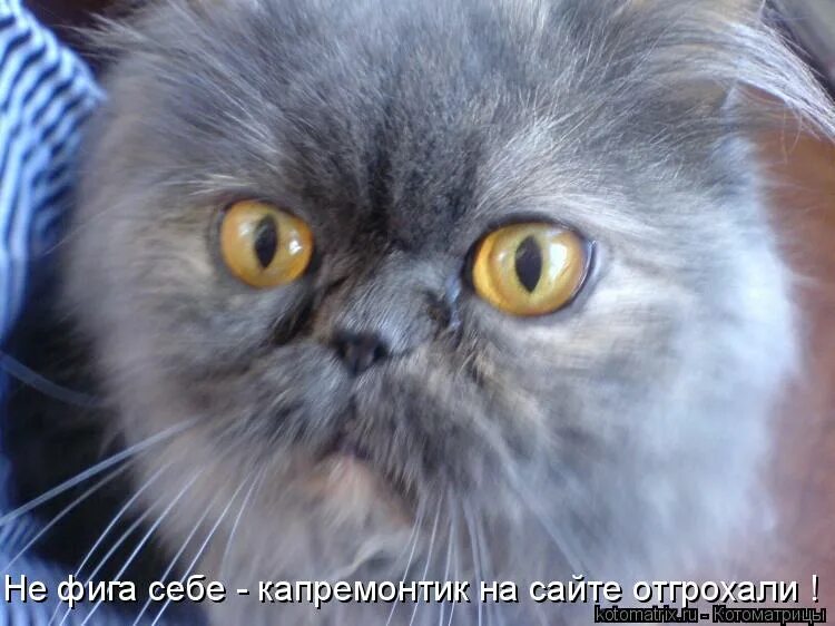 фига себе. нифига себе надпись. открытка не фига себе. фига себе. ничего себе картинки.