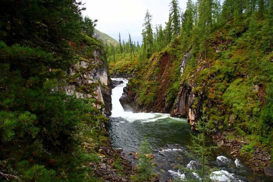 Каргон. Коргон Алтай река. Водопад на Чарыше Алтайский край. Коргон Алтай Чарыш река.